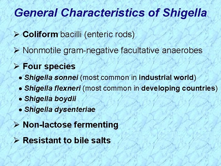 General Characteristics of Shigella Ø Coliform bacilli (enteric rods) Ø Nonmotile gram-negative facultative anaerobes