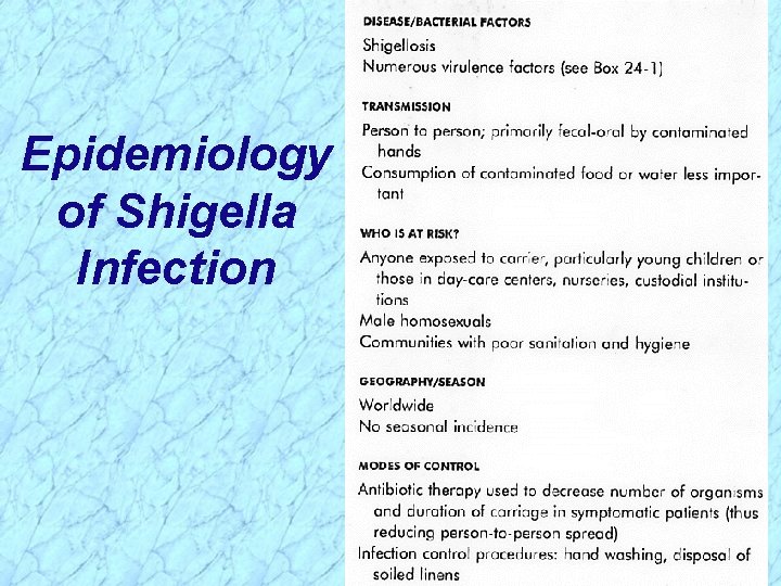 Epidemiology of Shigella Infection 