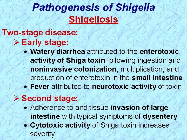 Pathogenesis of Shigella Shigellosis Two-stage disease: Ø Early stage: · Watery diarrhea attributed to