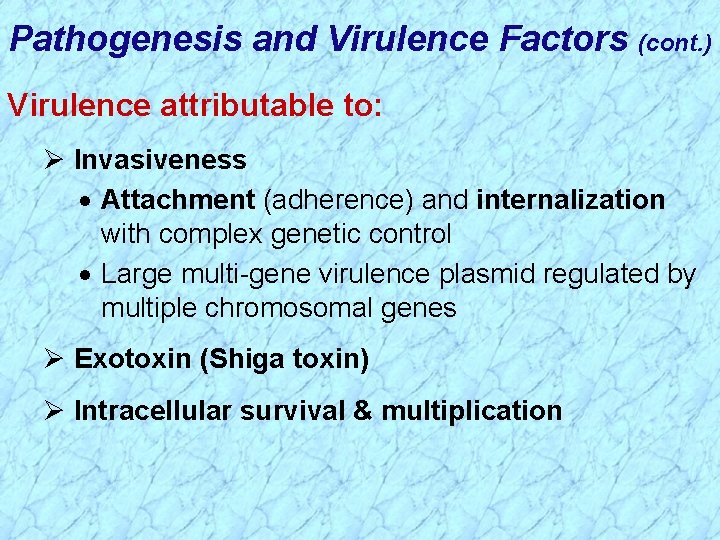 Pathogenesis and Virulence Factors (cont. ) Virulence attributable to: Ø Invasiveness · Attachment (adherence)