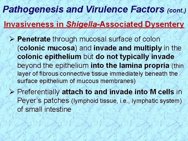 Pathogenesis and Virulence Factors (cont. ) Invasiveness in Shigella-Associated Dysentery Ø Penetrate through mucosal