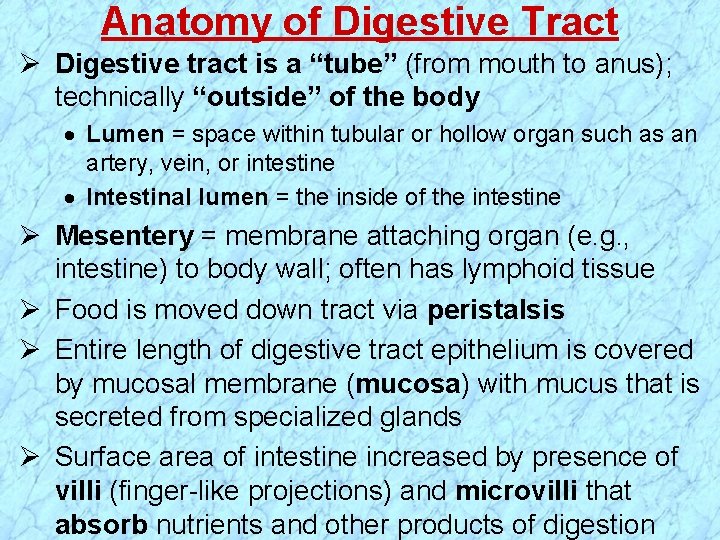 Anatomy of Digestive Tract Ø Digestive tract is a “tube” (from mouth to anus);