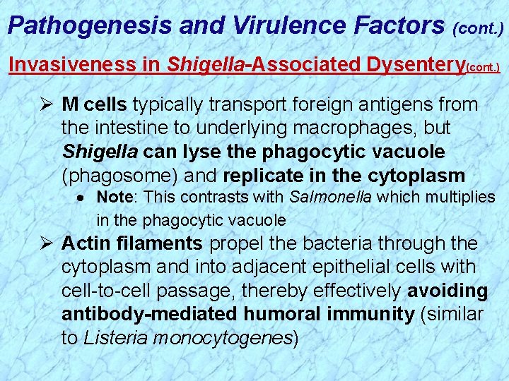 Pathogenesis and Virulence Factors (cont. ) Invasiveness in Shigella-Associated Dysentery(cont. ) Ø M cells