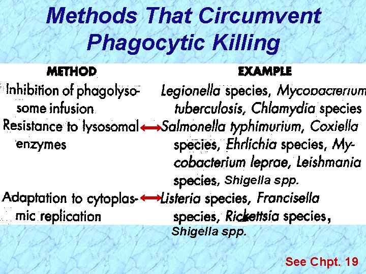 Methods That Circumvent Phagocytic Killing , Shigella spp. , See Chpt. 19 