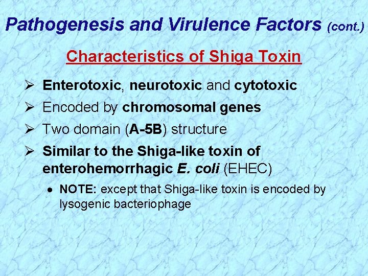 Pathogenesis and Virulence Factors (cont. ) Characteristics of Shiga Toxin Ø Enterotoxic, neurotoxic and