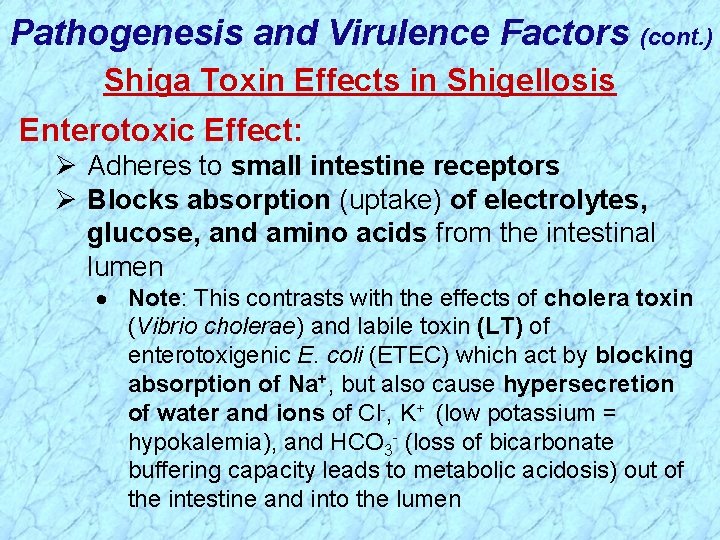 Pathogenesis and Virulence Factors (cont. ) Shiga Toxin Effects in Shigellosis Enterotoxic Effect: Ø