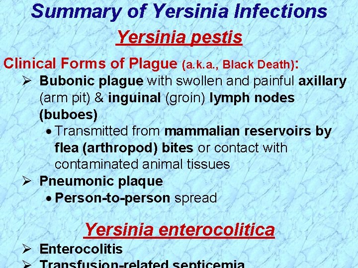 Summary of Yersinia Infections Yersinia pestis Clinical Forms of Plague (a. k. a. ,