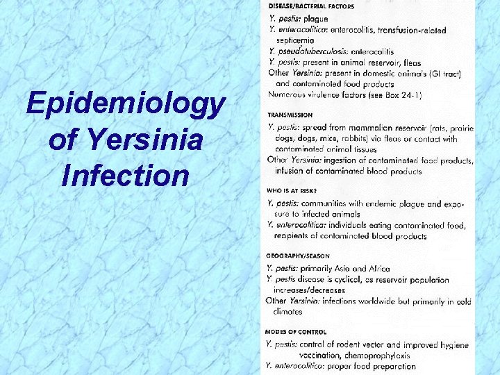 Epidemiology of Yersinia Infection 