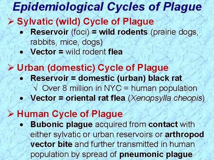 Epidemiological Cycles of Plague Ø Sylvatic (wild) Cycle of Plague · Reservoir (foci) =