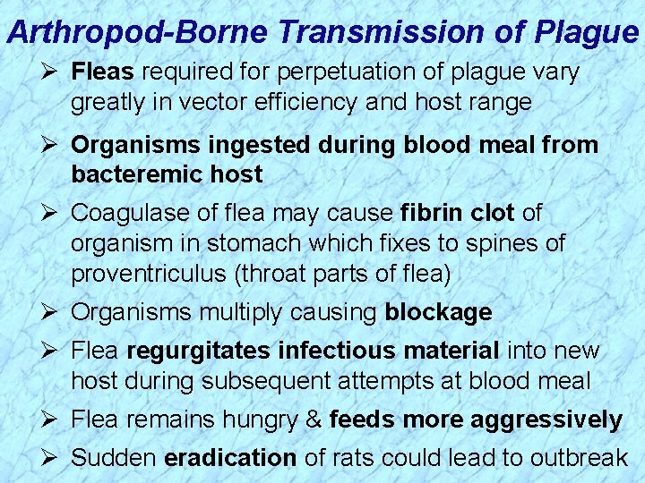 Arthropod-Borne Transmission of Plague Ø Fleas required for perpetuation of plague vary greatly in