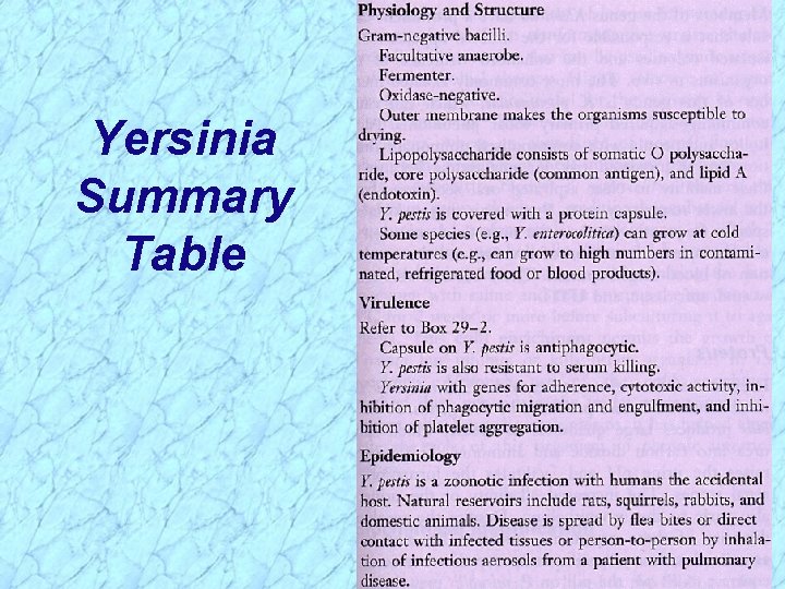 Yersinia Summary Table 