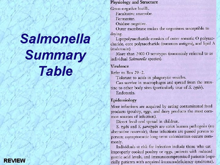 Salmonella Summary Table REVIEW 