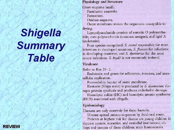 Shigella Summary Table REVIEW 