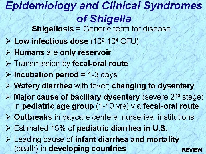 Epidemiology and Clinical Syndromes of Shigella Shigellosis = Generic term for disease Ø Ø