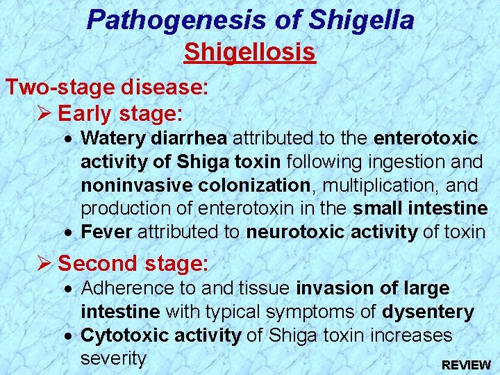 Pathogenesis of Shigella Shigellosis Two-stage disease: Ø Early stage: · Watery diarrhea attributed to