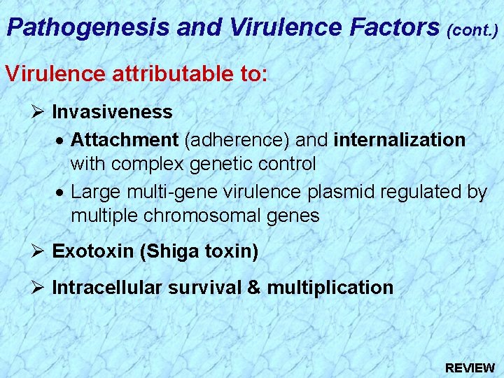 Pathogenesis and Virulence Factors (cont. ) Virulence attributable to: Ø Invasiveness · Attachment (adherence)