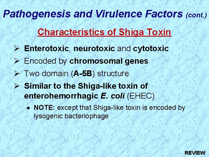 Pathogenesis and Virulence Factors (cont. ) Characteristics of Shiga Toxin Ø Enterotoxic, neurotoxic and