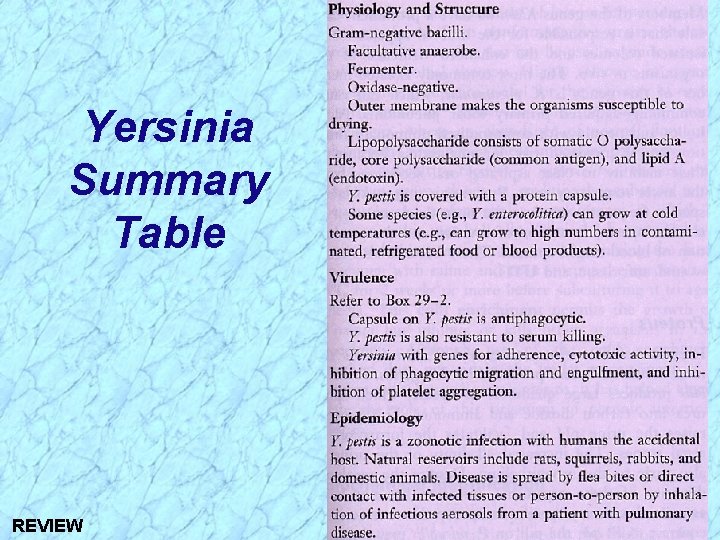 Yersinia Summary Table REVIEW 