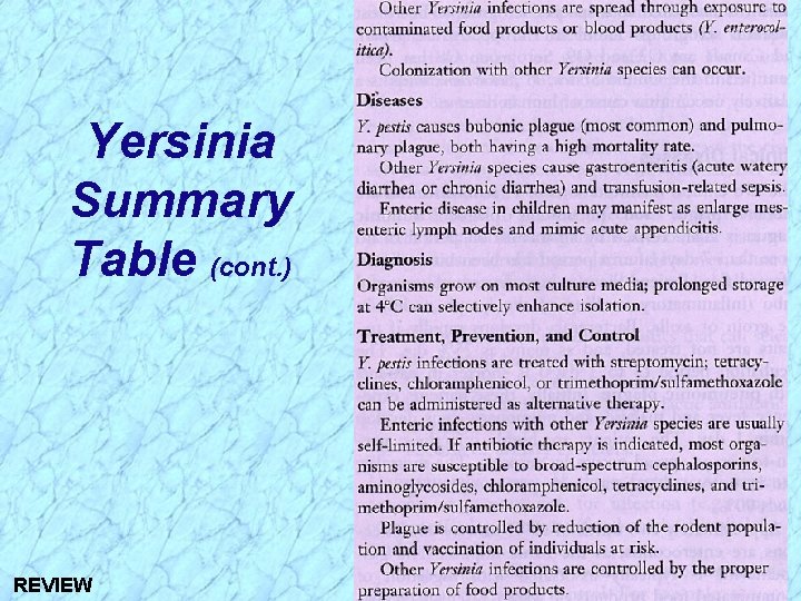 Yersinia Summary Table (cont. ) REVIEW 