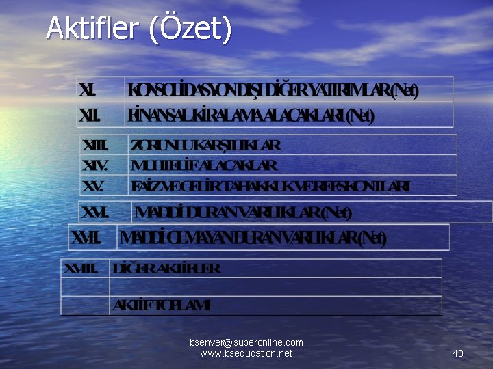 Aktifler (Özet) bsenver@superonline. com www. bseducation. net 43 