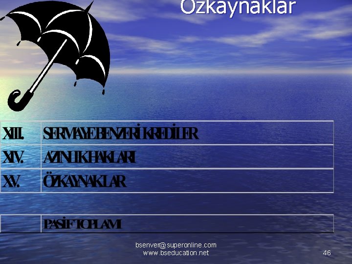 (Özet) Özkaynaklar bsenver@superonline. com www. bseducation. net 46 