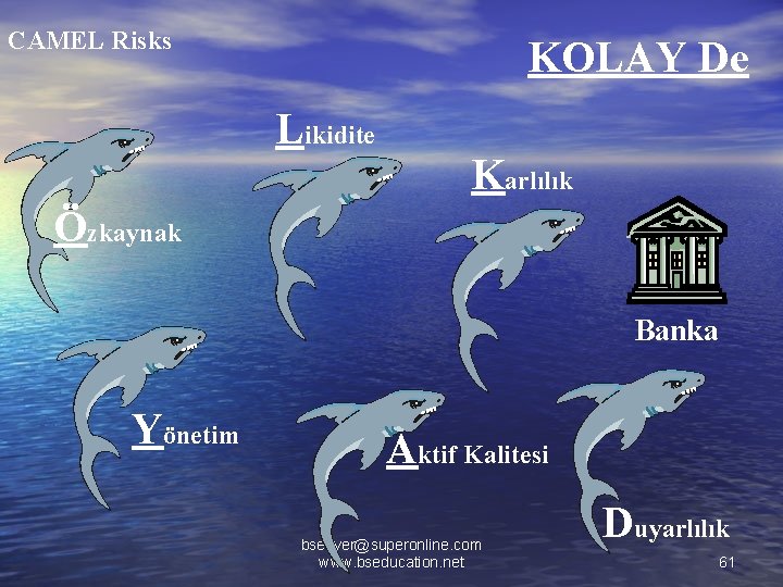 CAMEL Risks KOLAY De Likidite Karlılık Özkaynak Banka Yönetim Aktif Kalitesi bsenver@superonline. com www.