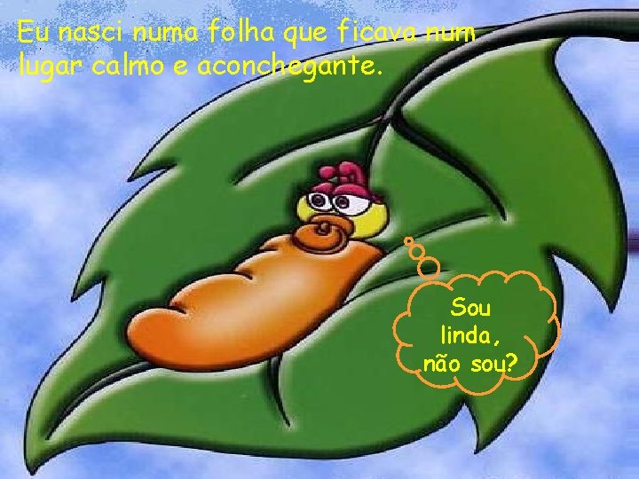 Eu nasci numa folha que ficava num lugar calmo e aconchegante. Sou linda, não
