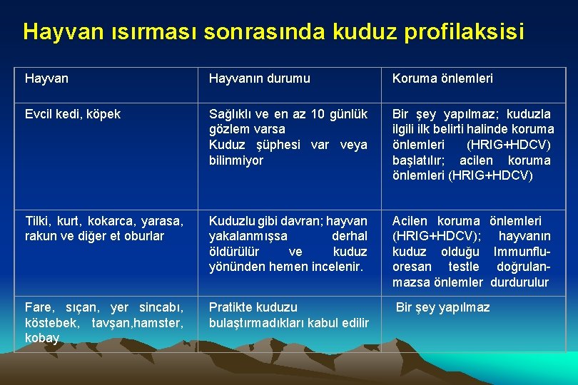 Hayvan ısırması sonrasında kuduz profilaksisi Hayvanın durumu Koruma önlemleri Evcil kedi, köpek Sağlıklı ve