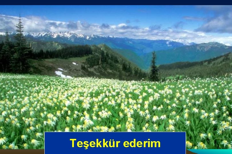 Teşekkür ederim 