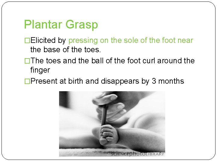 Plantar Grasp �Elicited by pressing on the sole of the foot near the base