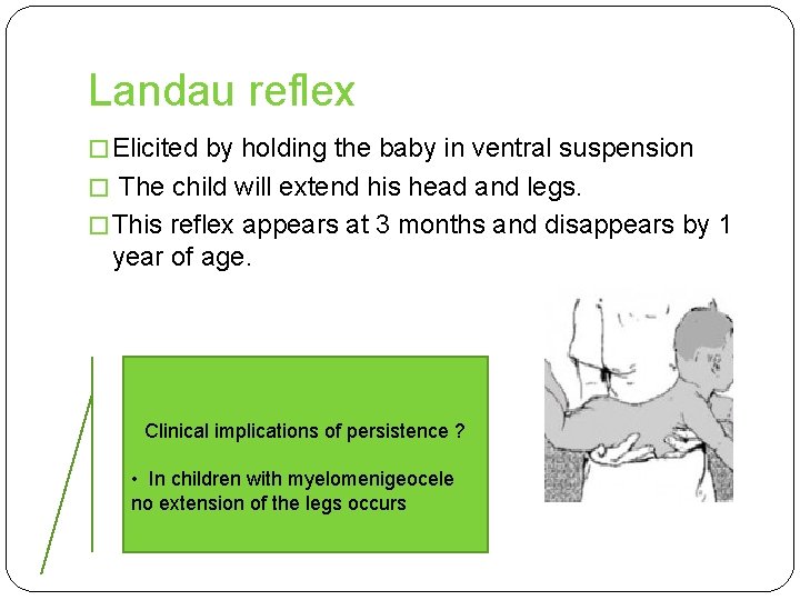 Landau reflex � Elicited by holding the baby in ventral suspension � The child