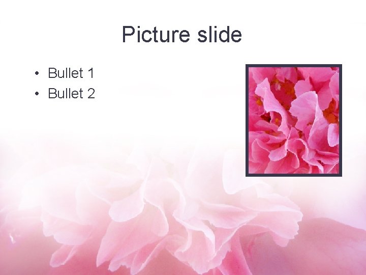 Picture slide • Bullet 1 • Bullet 2 