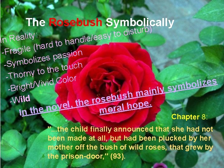 The Rosebush Symbolically ) b r u t s i d to : y