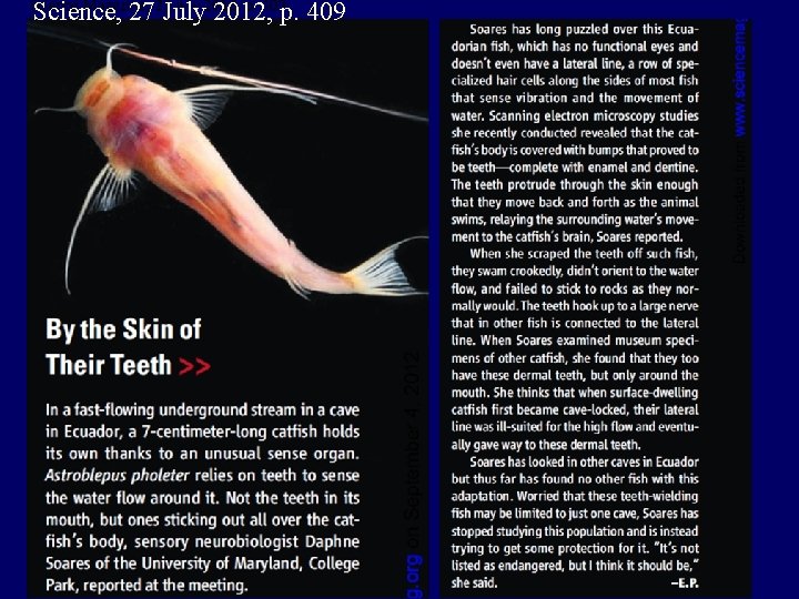 Science, 27 July 2012, p. 409 