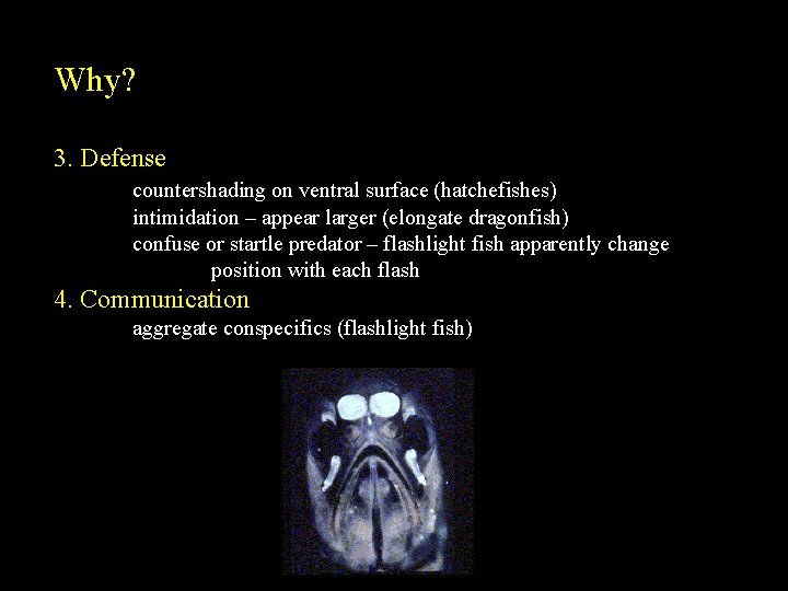 Why? 3. Defense countershading on ventral surface (hatchefishes) intimidation – appear larger (elongate dragonfish)