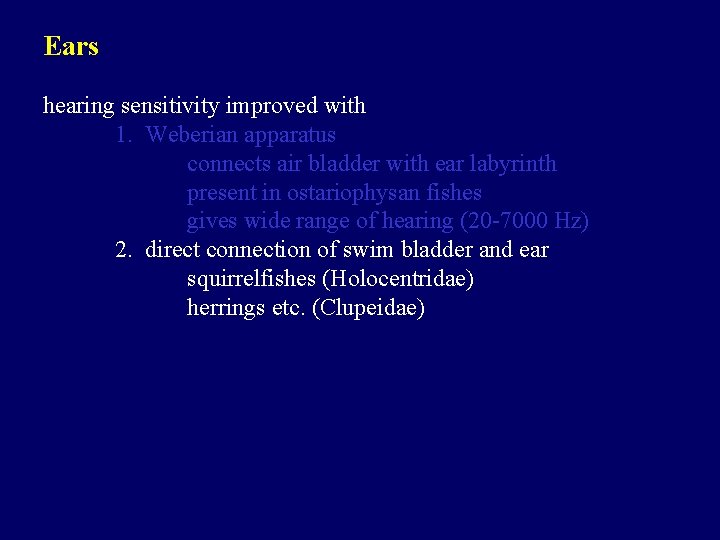 Ears hearing sensitivity improved with 1. Weberian apparatus connects air bladder with ear labyrinth