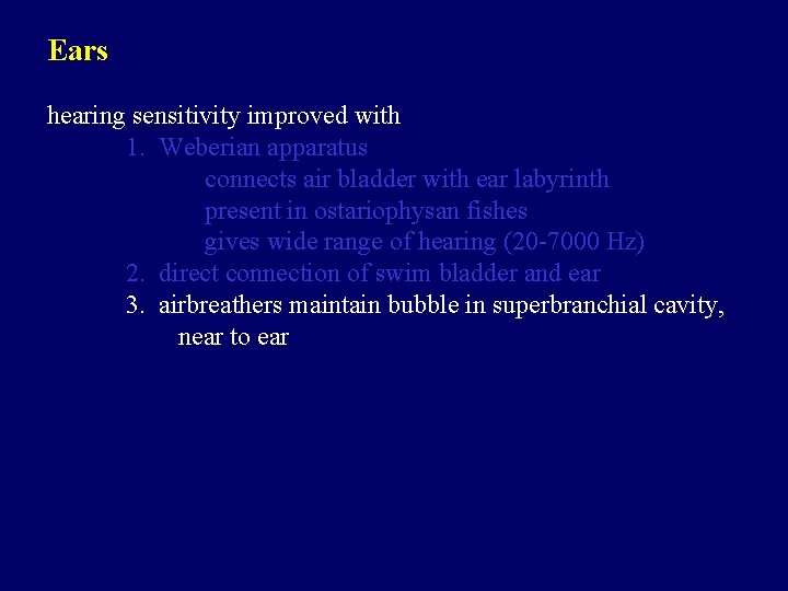Ears hearing sensitivity improved with 1. Weberian apparatus connects air bladder with ear labyrinth