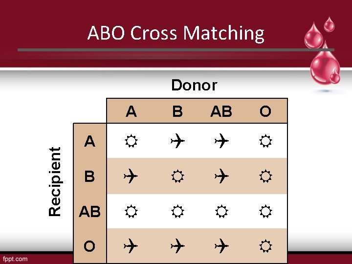ABO Cross Matching Recipient Donor A B AB O A B AB O 