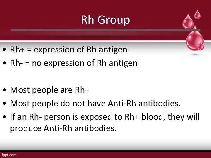 Rh Group • Rh+ = expression of Rh antigen • Rh- = no expression