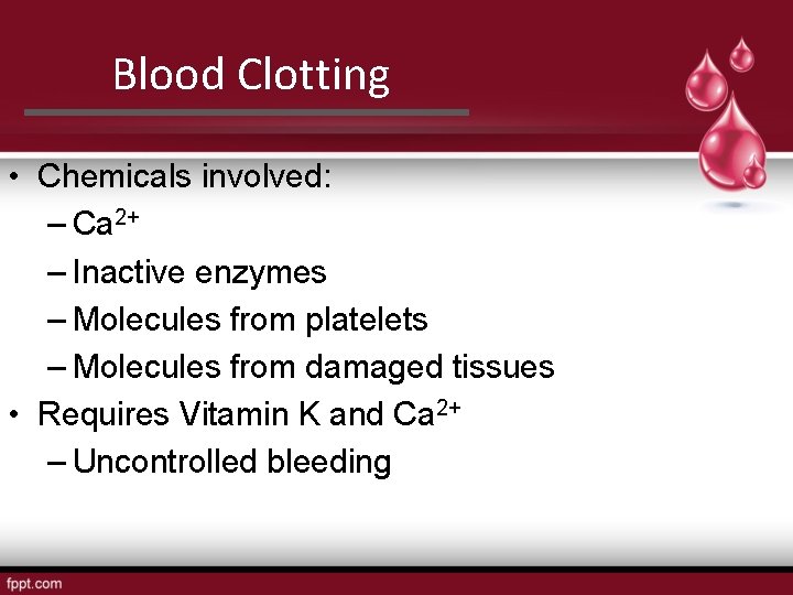 Blood Clotting • Chemicals involved: – Ca 2+ – Inactive enzymes – Molecules from