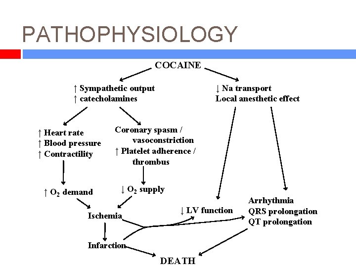 PATHOPHYSIOLOGY COCAINE ↑ Sympathetic output ↑ catecholamines ↑ Heart rate ↑ Blood pressure ↑