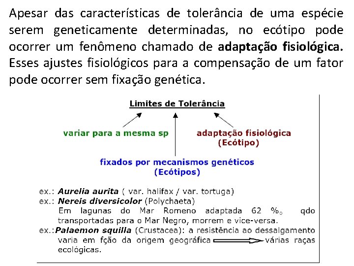 Apesar das características de tolerância de uma espécie serem geneticamente determinadas, no ecótipo pode