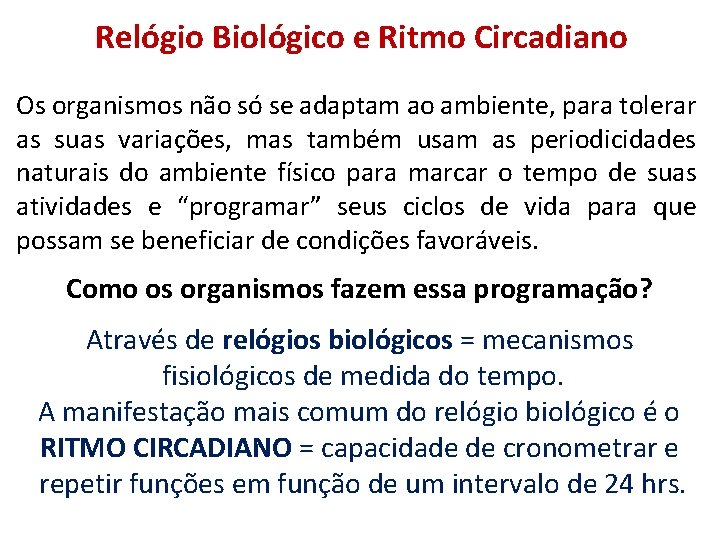 Relógio Biológico e Ritmo Circadiano Os organismos não só se adaptam ao ambiente, para