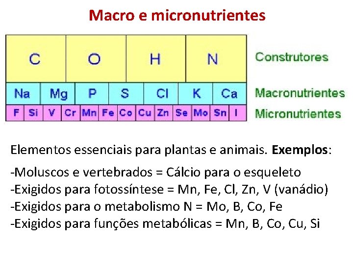 Macro e micronutrientes Elementos essenciais para plantas e animais. Exemplos: -Moluscos e vertebrados =