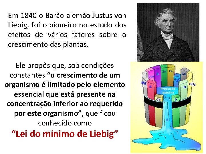 Em 1840 o Barão alemão Justus von Liebig, foi o pioneiro no estudo dos