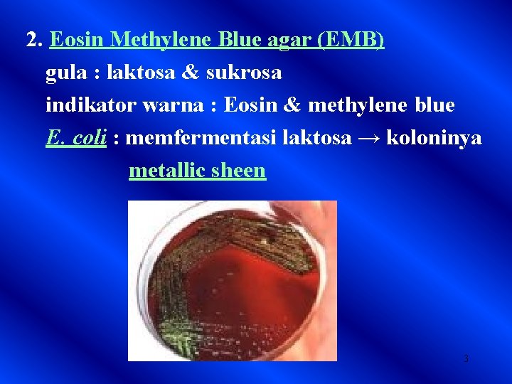 2. Eosin Methylene Blue agar (EMB) gula : laktosa & sukrosa indikator warna :
