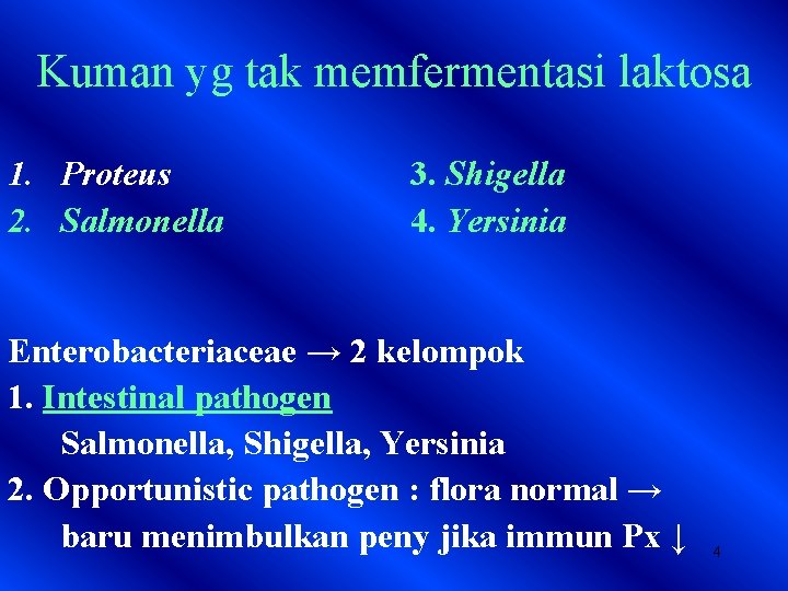 Kuman yg tak memfermentasi laktosa 1. Proteus 2. Salmonella 3. Shigella 4. Yersinia Enterobacteriaceae