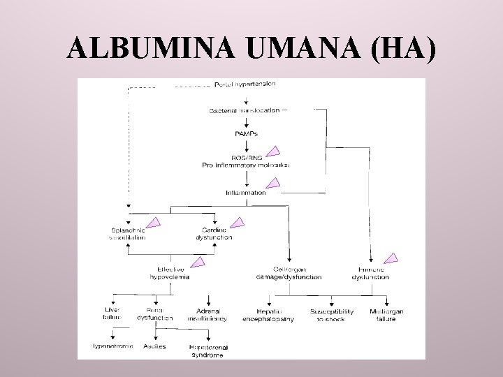 ALBUMINA UMANA (HA) 