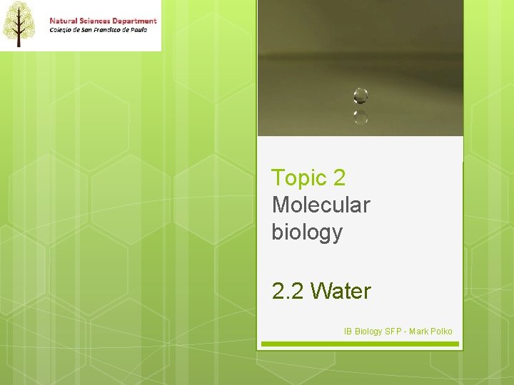 Topic 2 Molecular biology 2. 2 Water IB Biology SFP - Mark Polko 