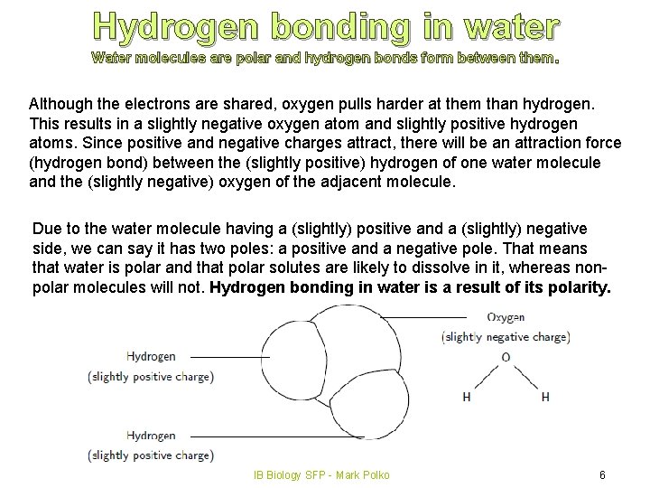 Hydrogen bonding in water Water molecules are polar and hydrogen bonds form between them.